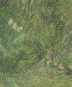Vincent Van Gogh Two White Butterflies (nn04) painting